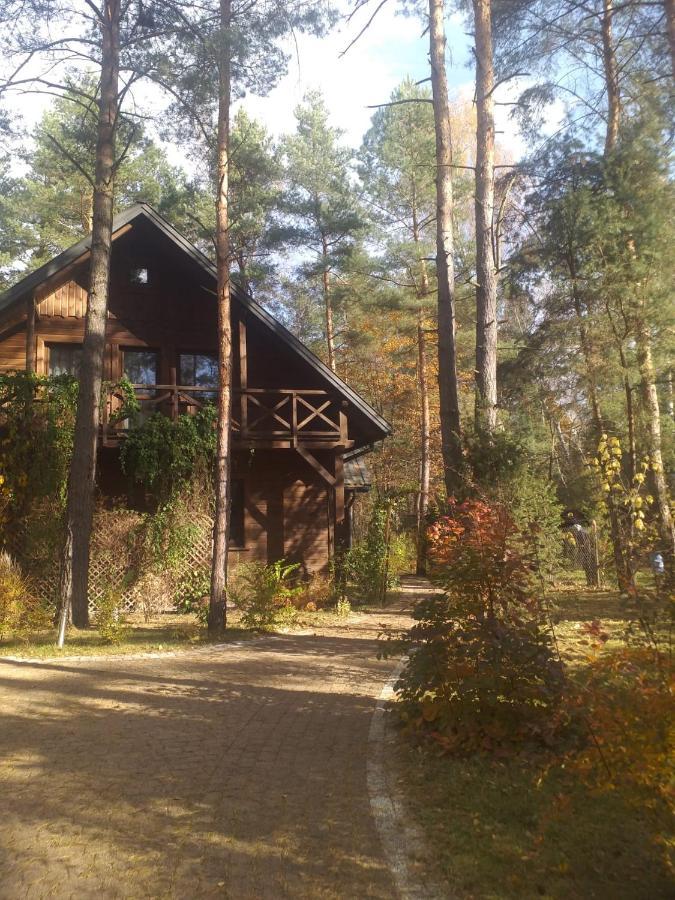Lesna Ostoja Nad Pilica Villa Lechanice Екстериор снимка