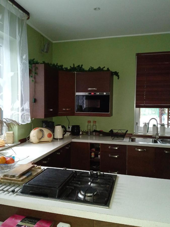 Lesna Ostoja Nad Pilica Villa Lechanice Екстериор снимка