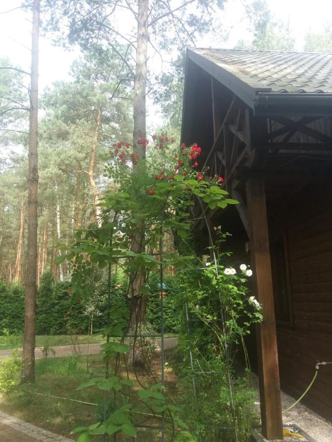 Lesna Ostoja Nad Pilica Villa Lechanice Екстериор снимка