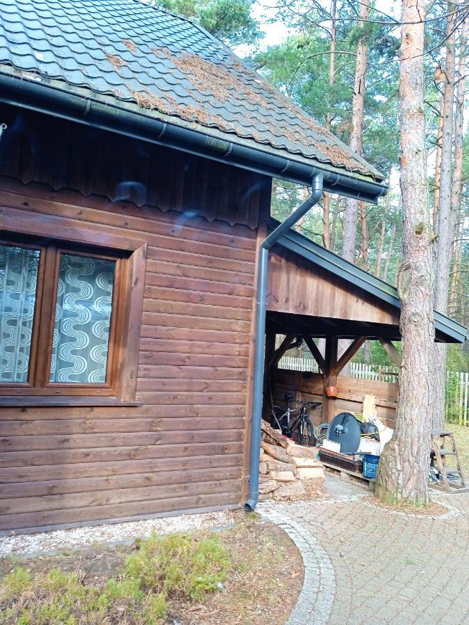 Lesna Ostoja Nad Pilica Villa Lechanice Екстериор снимка