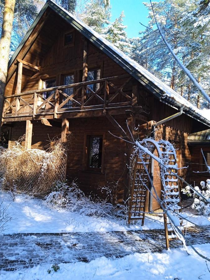 Lesna Ostoja Nad Pilica Villa Lechanice Екстериор снимка