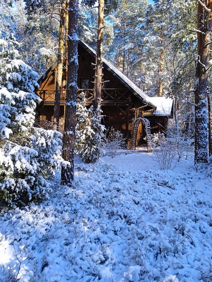 Lesna Ostoja Nad Pilica Villa Lechanice Екстериор снимка