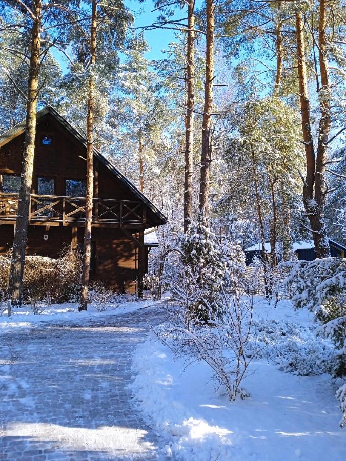 Lesna Ostoja Nad Pilica Villa Lechanice Екстериор снимка