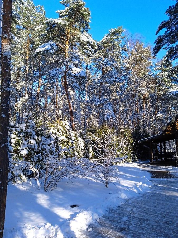 Lesna Ostoja Nad Pilica Villa Lechanice Екстериор снимка