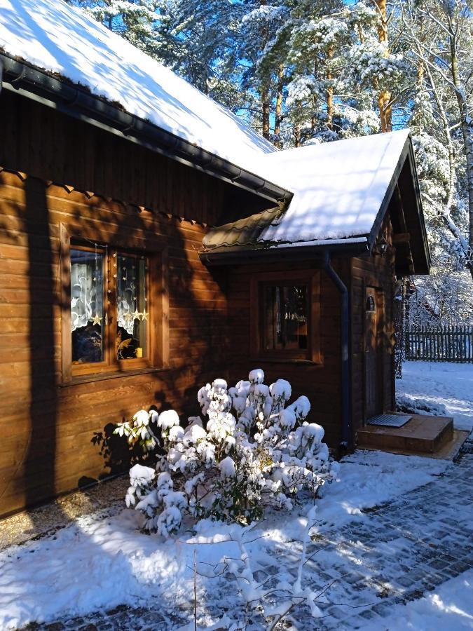 Lesna Ostoja Nad Pilica Villa Lechanice Екстериор снимка