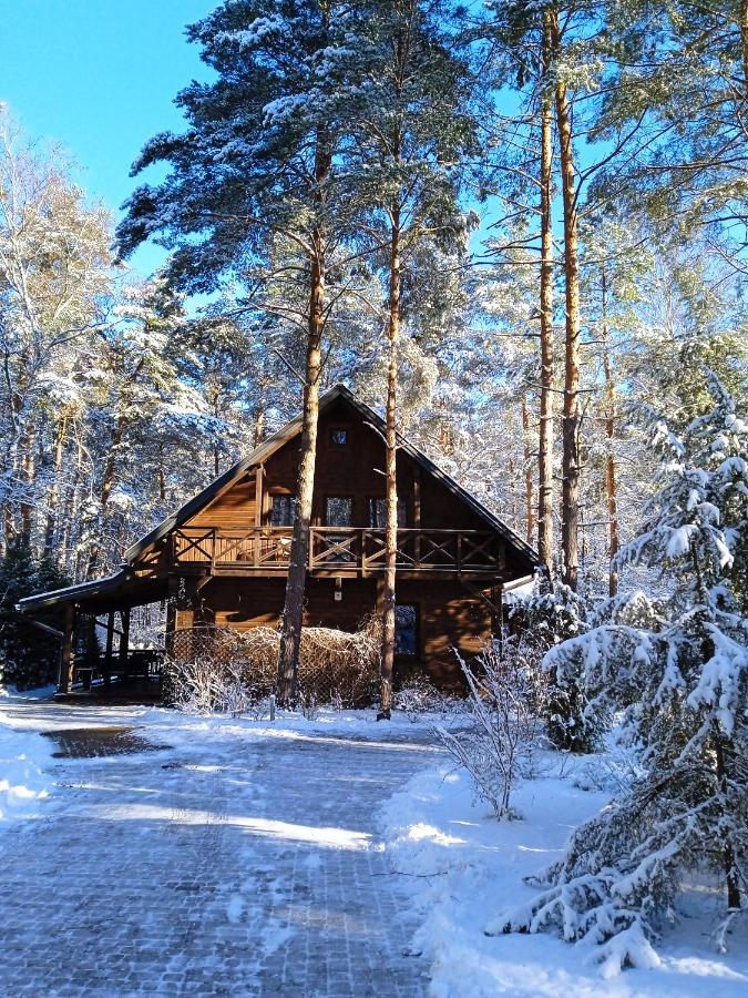 Lesna Ostoja Nad Pilica Villa Lechanice Екстериор снимка